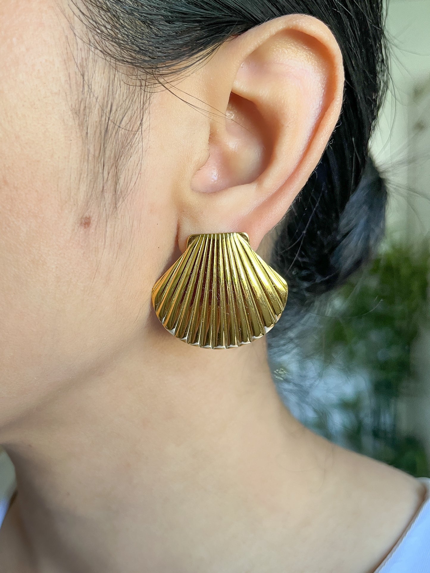 Shell Earrings