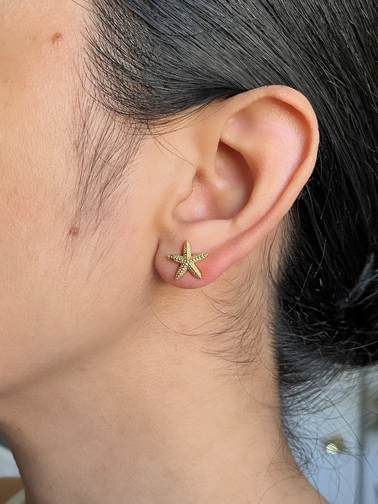 Starfish Earrings