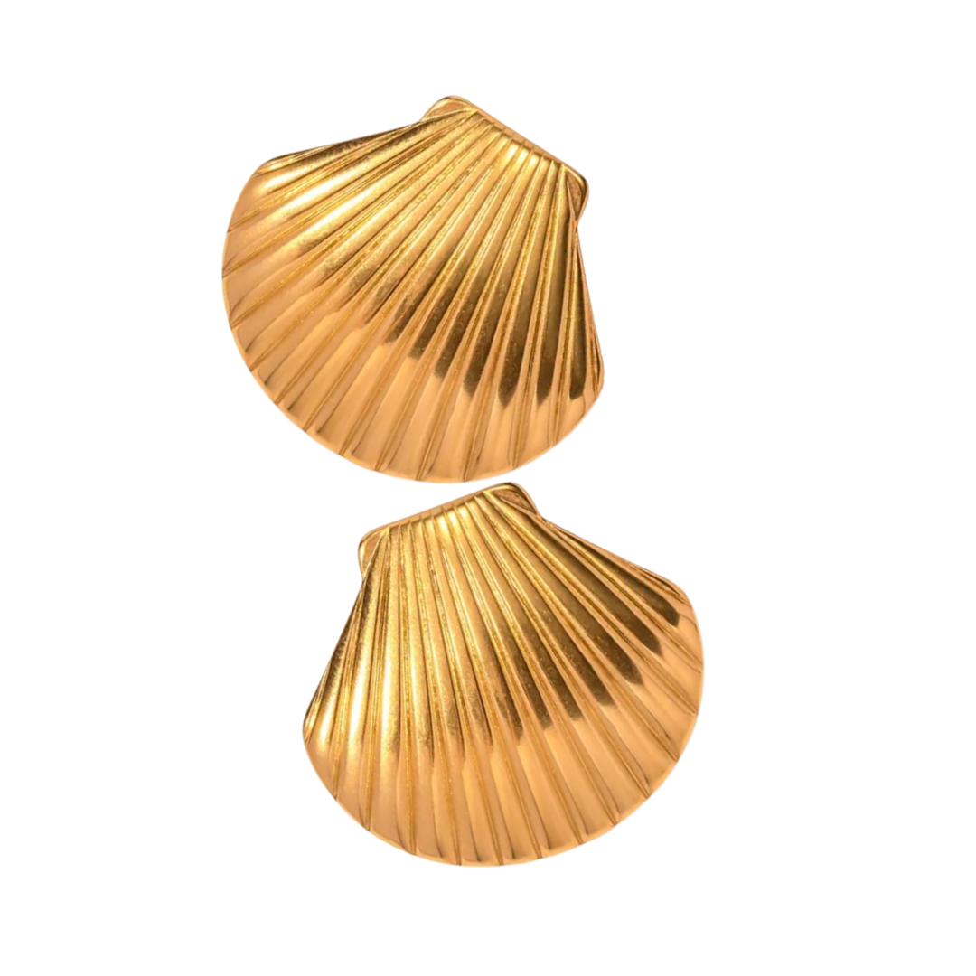 Shell Earrings