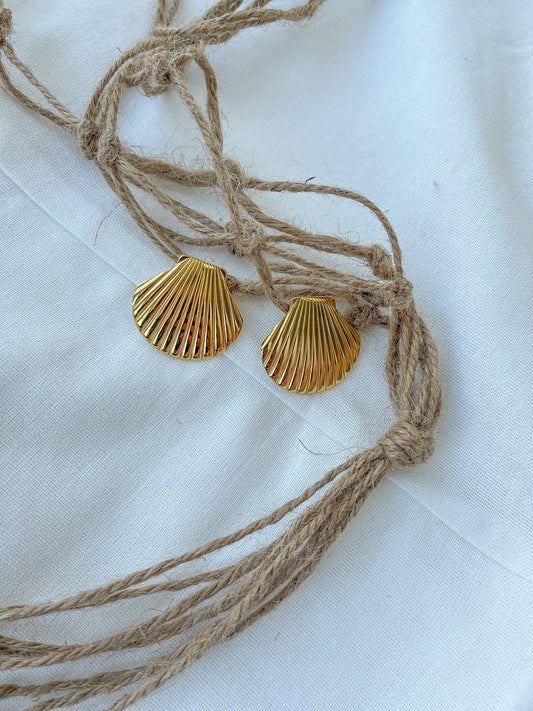 Shell Earrings